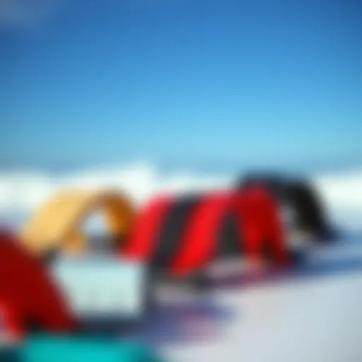 A variety of surfboard straps showcasing different materials and designs.