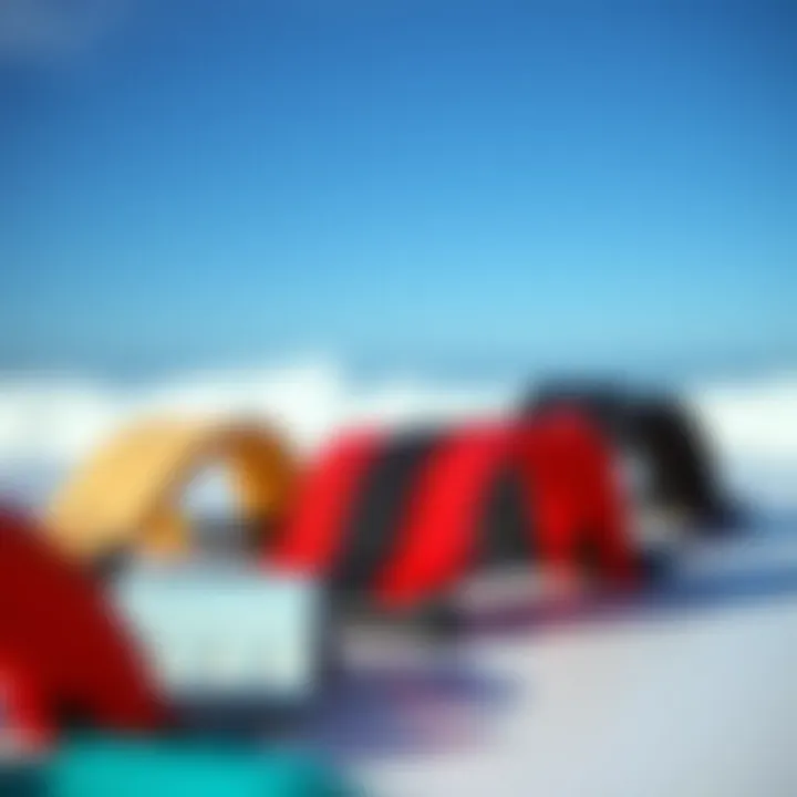 A variety of surfboard straps showcasing different materials and designs.