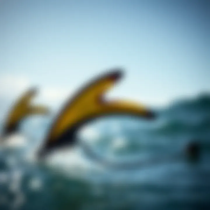 Dynamic image of aquatic sports equipment inspired by fish fin designs