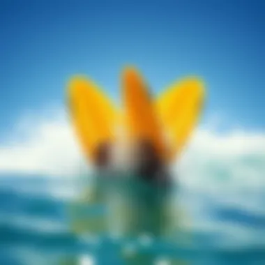 Visual representation of eco-conscious practices in aquatic sports related to fish fins