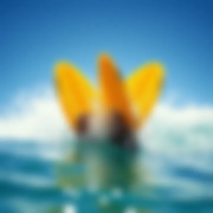 Visual representation of eco-conscious practices in aquatic sports related to fish fins