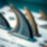 Understanding the Structure and Types of Fish Fins Detailed illustration of various fish fins showcasing their structure and types