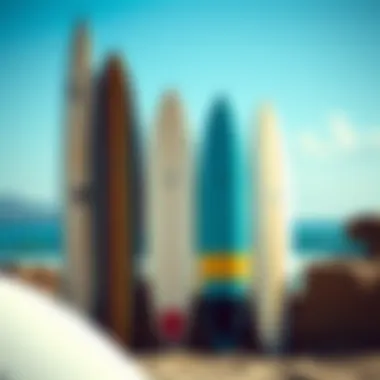 Comparison of Various Surfboard Types An illustration comparing different surfboard types side by side.