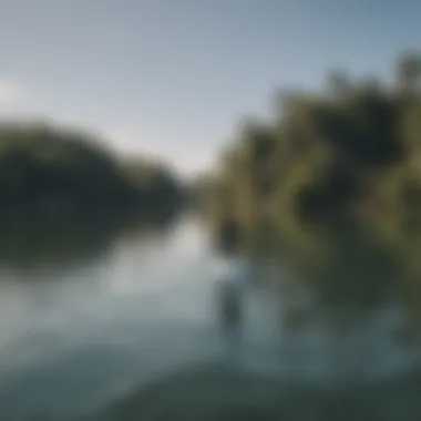 Person testing a stand-up paddleboard on the water