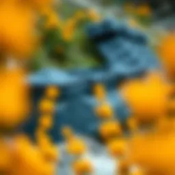 Dakine Coffin Bag showcasing its sleek design