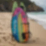Vibrant Designs of DB Surfboard Bags Stylish DB surfboard bag showcasing vibrant designs
