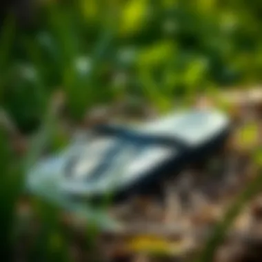 Del Sol Flip Flops Outdoors in Nature Del Sol flip flops in a natural outdoor setting