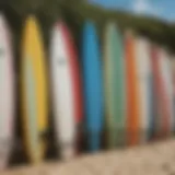 A selection of surfboards of varying sizes lined up on the beach