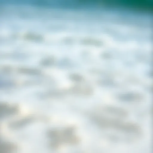 Enjoying Water Activities Safely A serene beach scene with clear water and waves