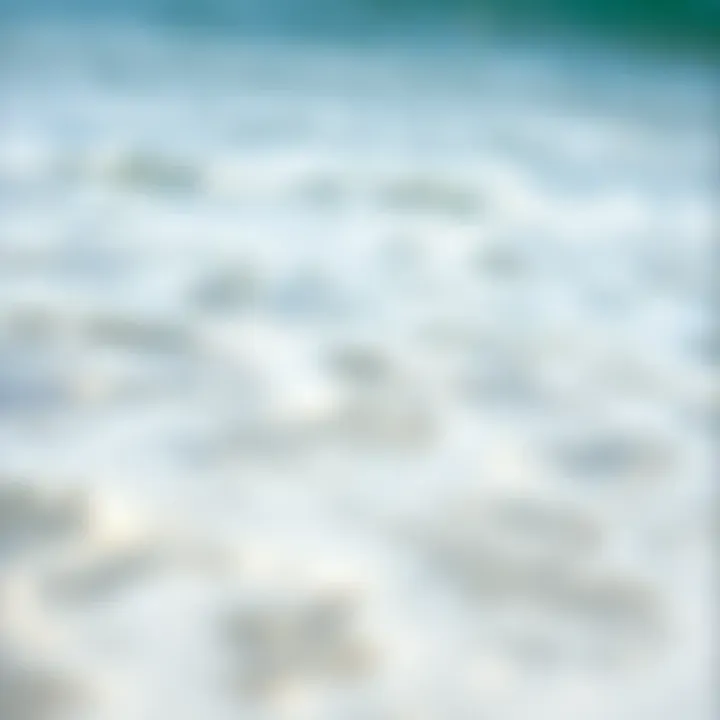 Enjoying Water Activities Safely A serene beach scene with clear water and waves