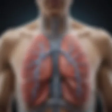 Anatomy of the lungs illustrating lung capacity