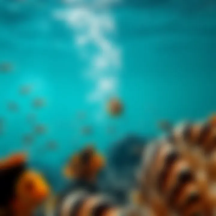 A vibrant underwater ecosystem showcasing marine life