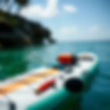 Essential paddle board accessories laid out