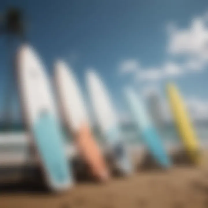 Different models of electric surfing boards lined up