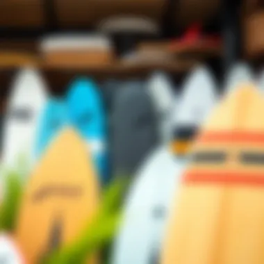 Various Exile skimboards for sale displayed