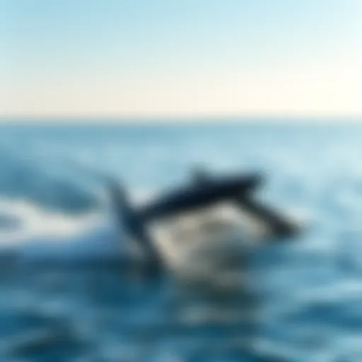 Sleek hydrofoil design cutting through water