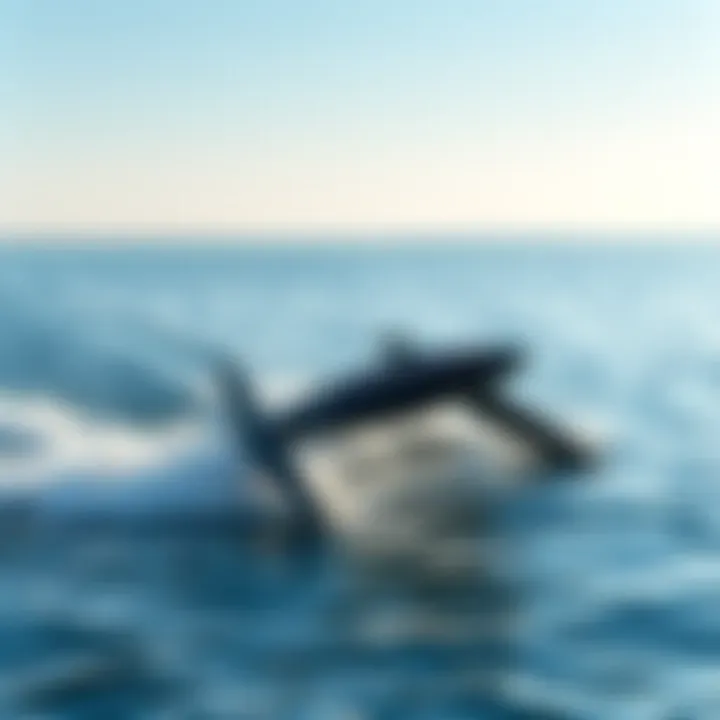 Sleek hydrofoil design cutting through water