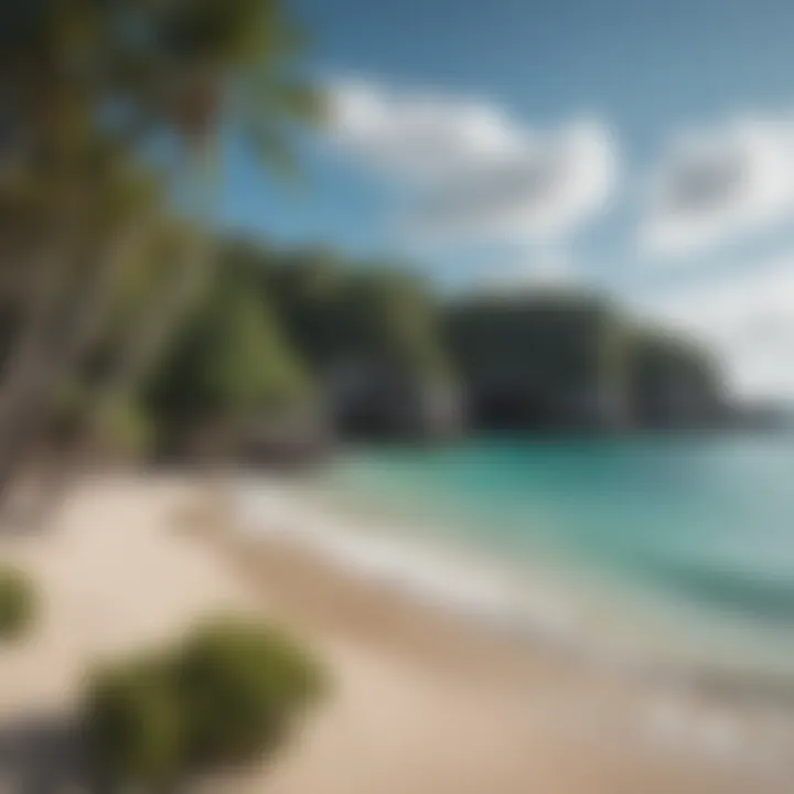 Lush coastal vegetation framing a serene beach