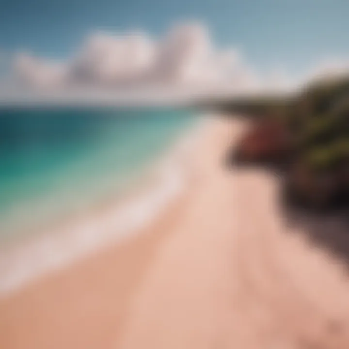 Aerial view of Bermuda's pink sand beach