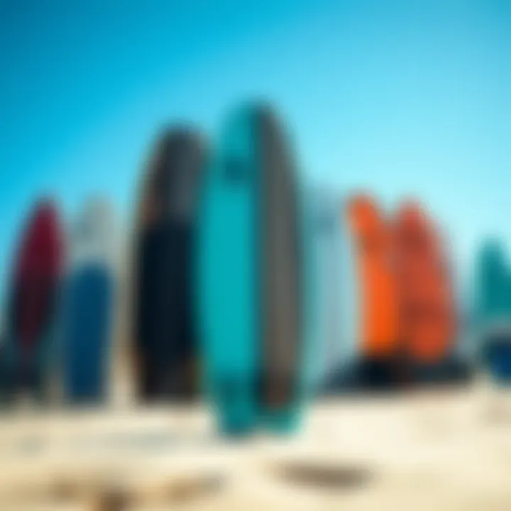 Diverse Bodyboard Designs Vibrant display of various bodyboards highlighting different designs and features