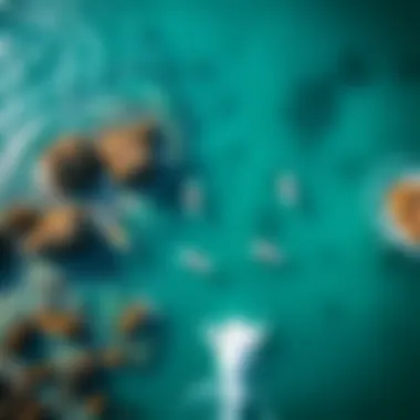 Aerial view of surfers enjoying vibrant blue waters