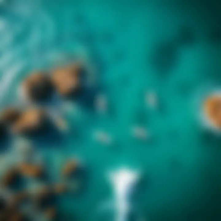 Aerial view of surfers enjoying vibrant blue waters