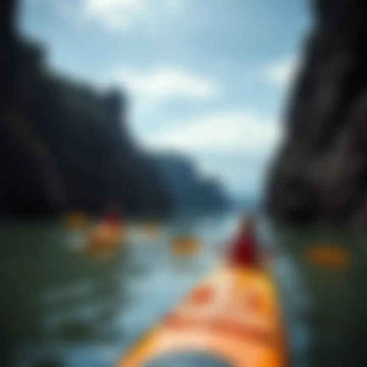 Kayaking Adventures at Carve Stinson Bottom Kayakers navigating through the waters of Carve Stinson Bottom.