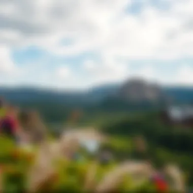 Scenic Surroundings of Carve Stinson Bottom Scenic view of the surrounding landscape of Carve Stinson Bottom.