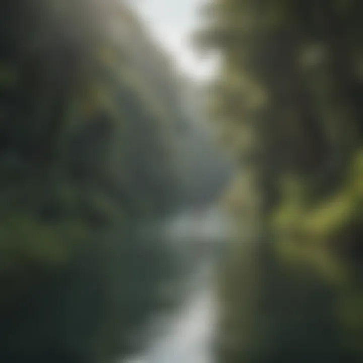 A lush river surrounded by greenery, inviting for paddle boarding.