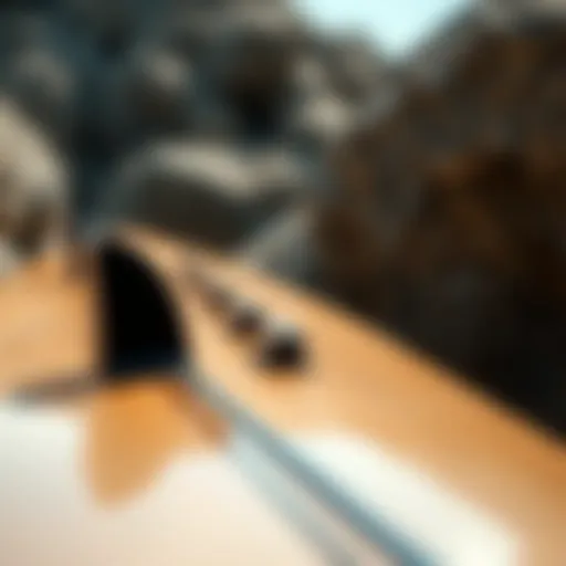 Detailed view of double kick cutaway longboard design