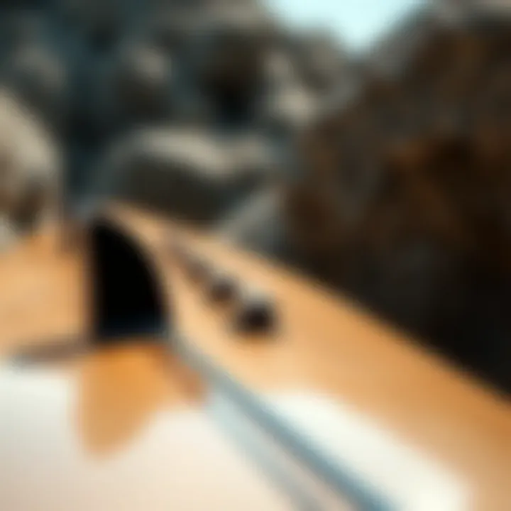 Detailed view of double kick cutaway longboard design