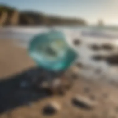 A historical photograph depicting the transformation of Glass Beach from a waste site to a natural gem.