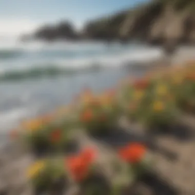 Wildflowers blooming against the backdrop of Glass Beach, showcasing the vibrant ecosystem.