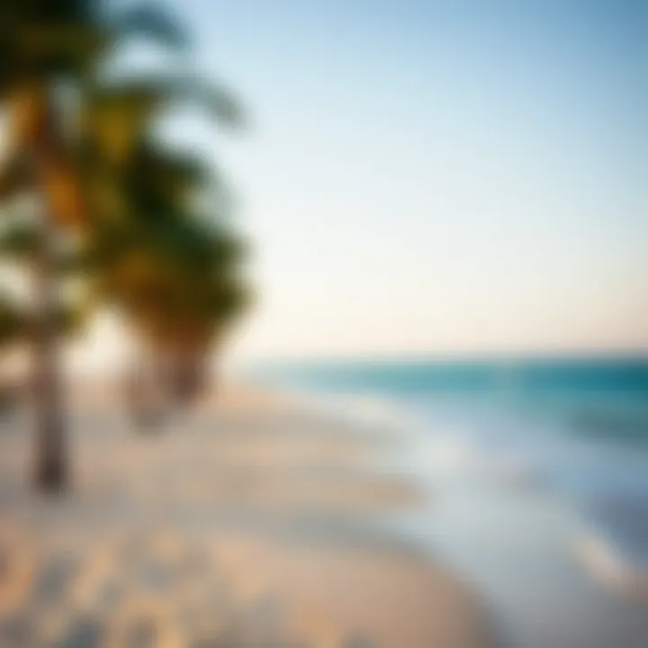 Tranquil Beach Paradise in Jericoacoara A serene beach lined with palm trees and crystal clear waters