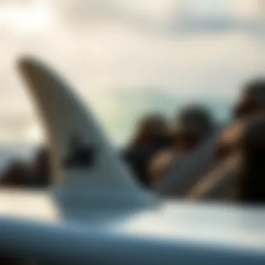 Innovative Tail Design of JS Surf Boards Close-up of a JS surf board highlighting its unique tail shape