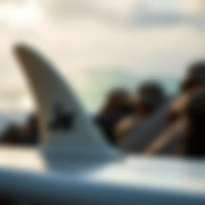 Innovative Tail Design of JS Surf Boards Close-up of a JS surf board highlighting its unique tail shape