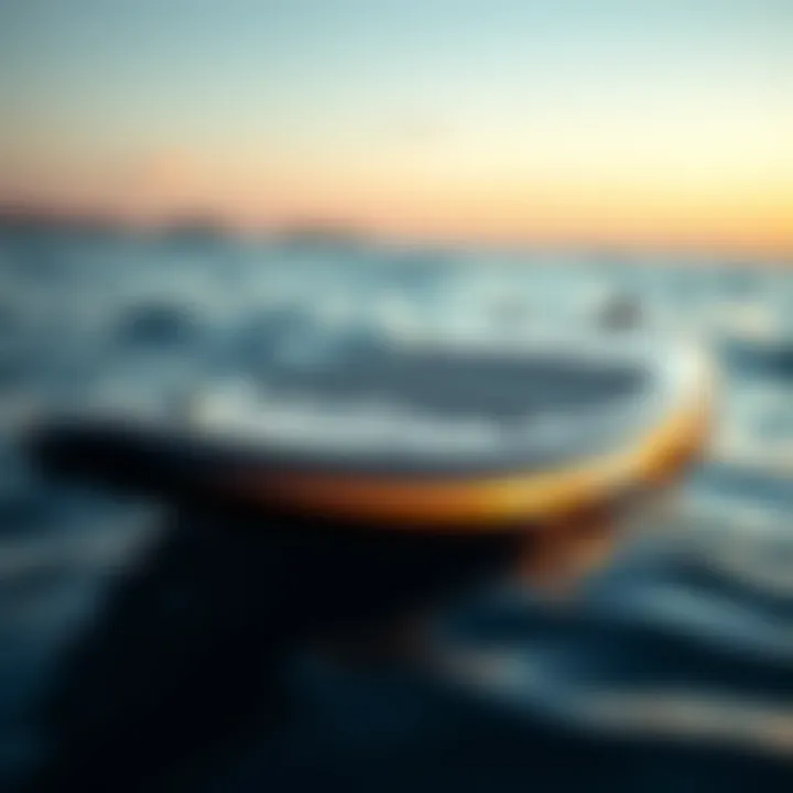 Sleek Design of the Laird Paddle Board Sleek design of the Laird paddle board showcasing its unique features