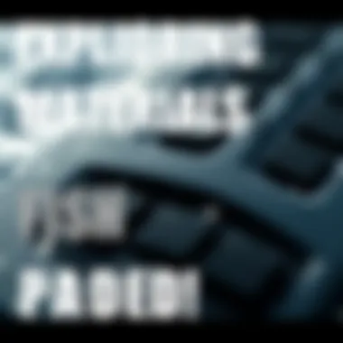 Close-up of fish traction pad materials