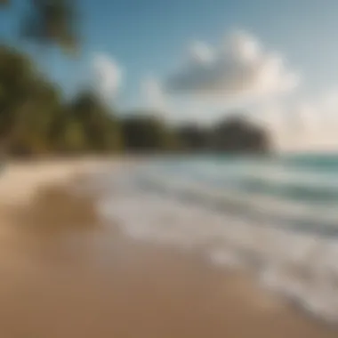 Tranquil beach scene at a Yucatan surf location showcasing pristine waters