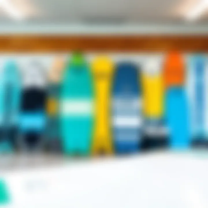 Various models of Morey boogie boards displayed