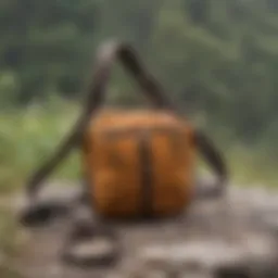 Patagonia Atom Sling showcased in a natural outdoor setting