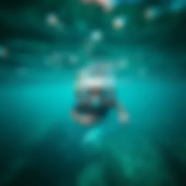 Snorkeling in Clear Waters Marine life visible while snorkeling in crystal clear waters