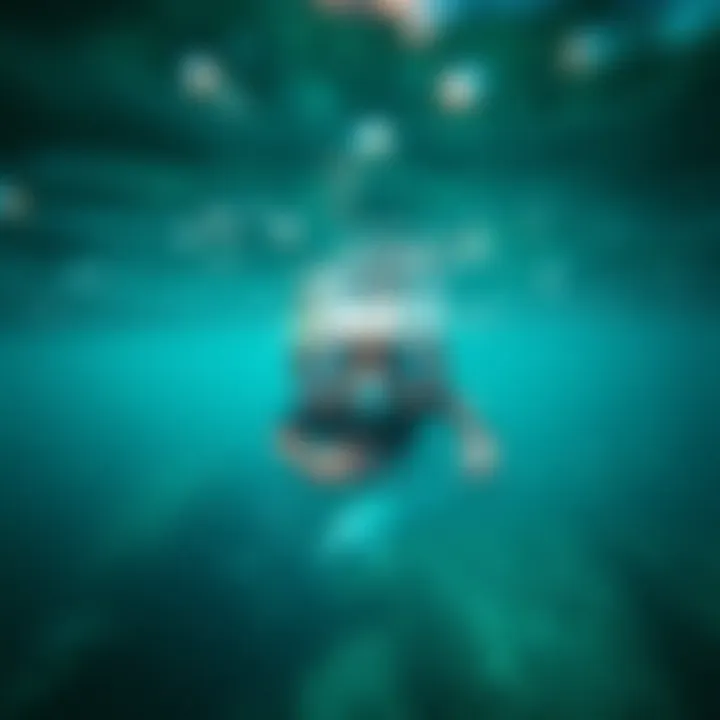 Snorkeling in Clear Waters Marine life visible while snorkeling in crystal clear waters