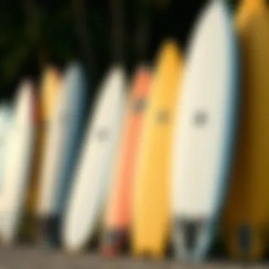 Comparison of various soft top long surfboards side by side