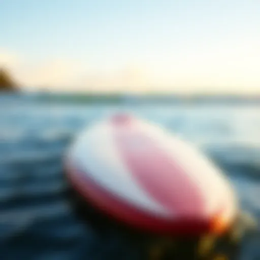 Soft top long surfboard showcasing its design and features