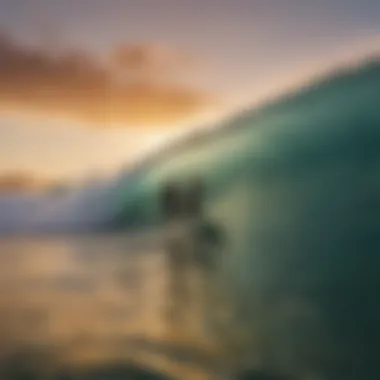 A group of surfers learning on a pristine wave at sunset