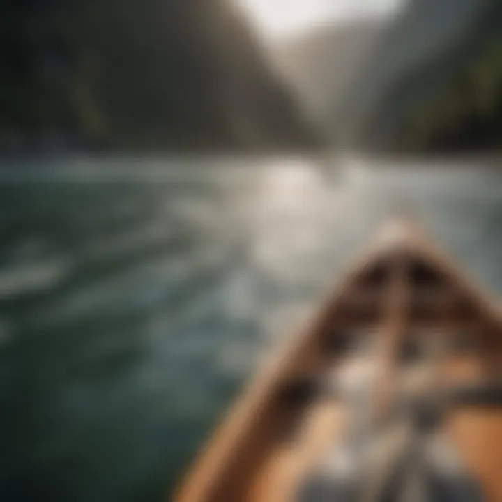 Close-up of surf canoe paddles against a scenic backdrop