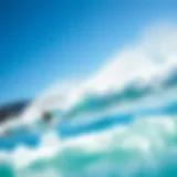 Santa Cruz Coastline: A Surfer's Paradise Vibrant Santa Cruz coastline with surfers riding the waves