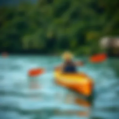Serene Kayaking Adventure in Tavarua Kayaker navigating through the serene waters of Tavarua surrounded by lush greenery