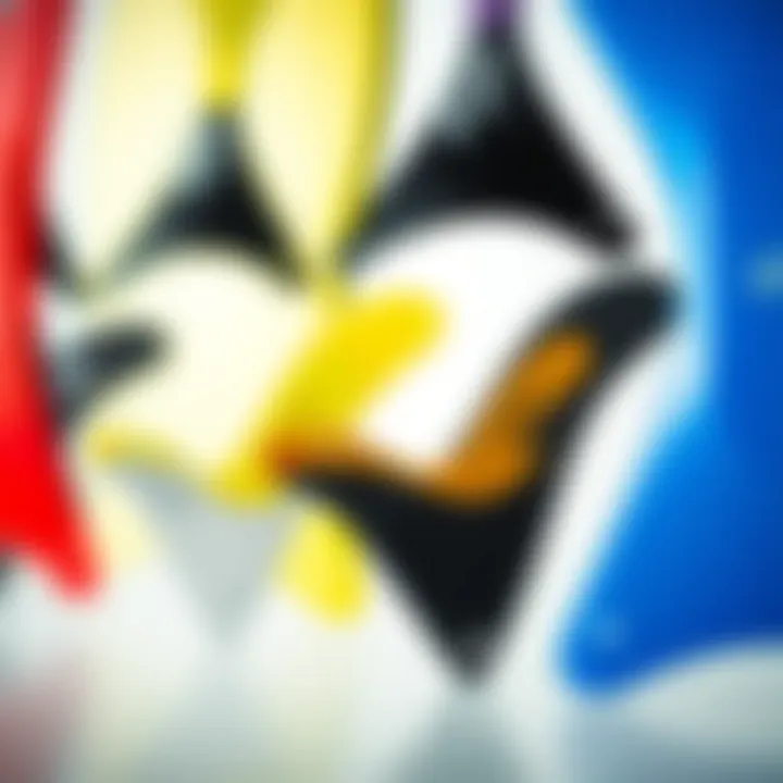 A collection of various quad fins showcasing different designs and colors